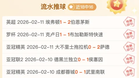 张盛分析：巴多萨的抗压表现将左右其在澳网的表现